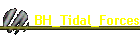 BH_Tidal_Forces